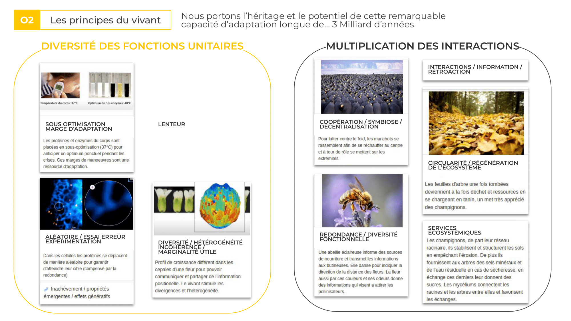Les principes du vivant Les principes du vivant