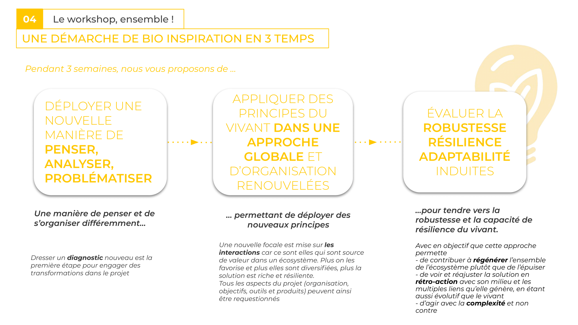 Une démarche de bio-inspiration en 3 temps Une démarche de bio-inspiration en 3 temps